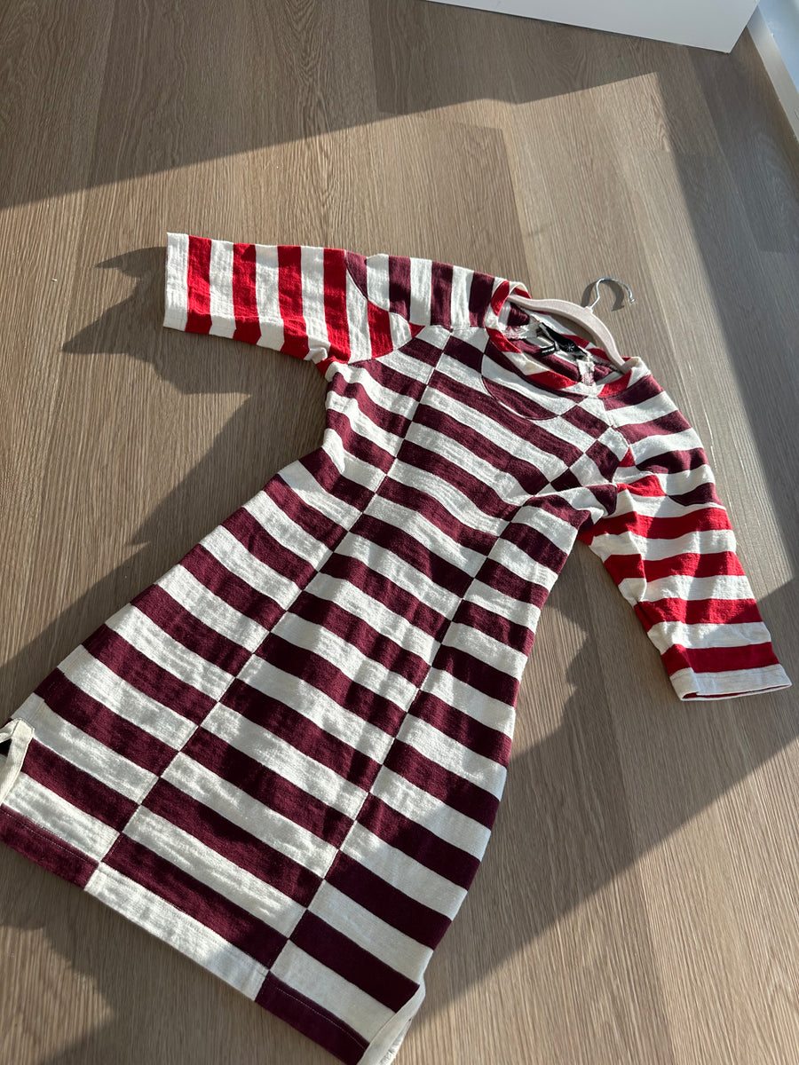 Isabel Marent Dress